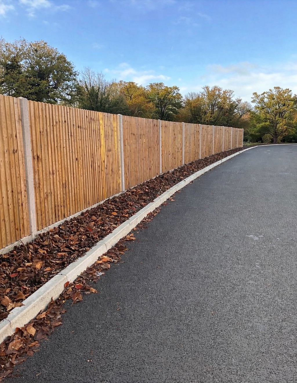 WhatsApp Image 2026-02-25 at 11.50.04 AM